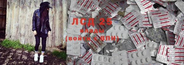 спиды Аркадак